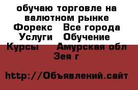 обучаю торговле на валютном рынке Форекс - Все города Услуги » Обучение. Курсы   . Амурская обл.,Зея г.